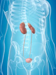 Prosta2Power result no.1